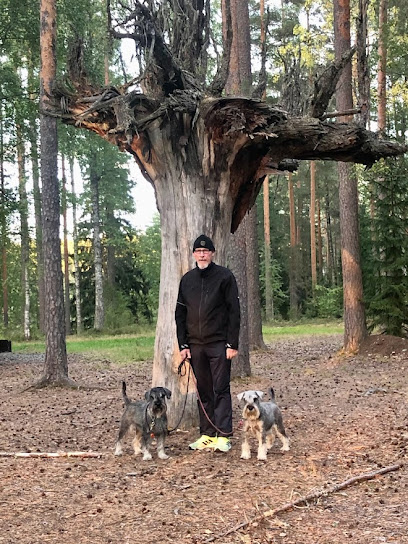 Gracilis | Hieroja i Klaukkala Gracilis | Hieroja i Klaukkala