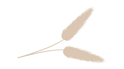 BEIS | Kampaamo i Kirkkonummi