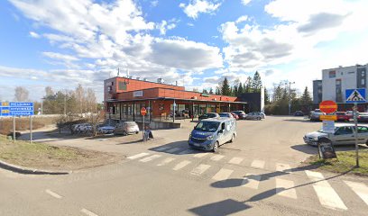 Chiroptera | Hieroja i Tuusula
