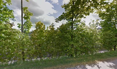 Erja Hartikainen | Hieroja i Lahti