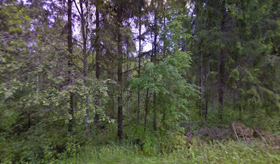 Marjukka Pesonen | Hieroja i Jyväskylä