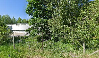 Tarja Jantti | Hieroja i Lempäälä