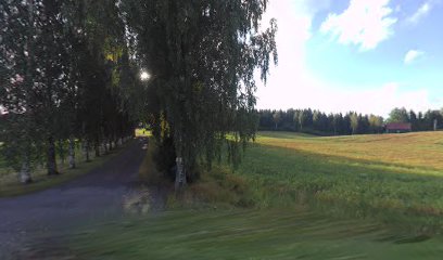 Aila Metsäkangas | Hieroja i Vesivehmaa