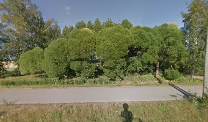 Hierontayritys Georgi Dikanarov | Hieroja i Ylivieska