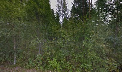 Hius- ja Kauneushoitola Lumi | Kauneuskeskus i Honkajoki